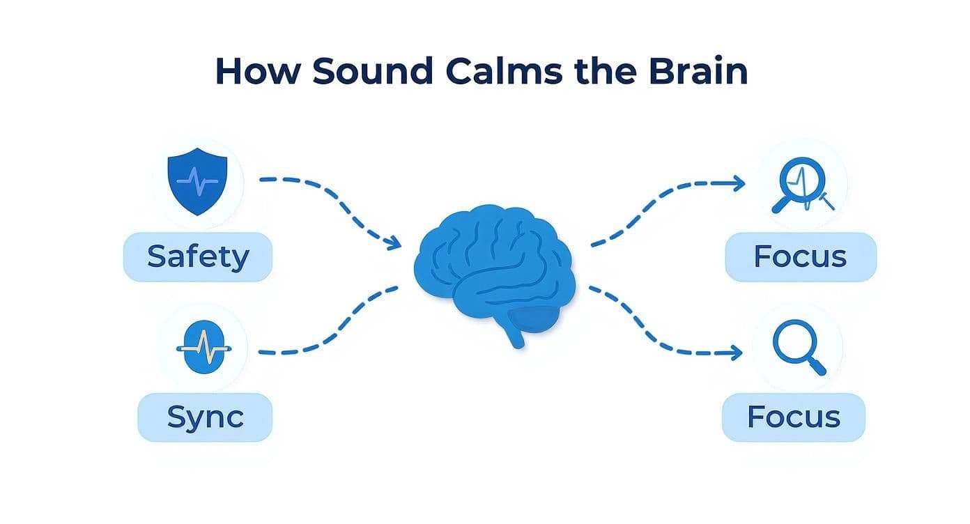 Soothing Voices for Sleep That Actually Work